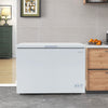 10 cu. ft. Chest Freezer Compact Deep Freezer Freestanding Top Open Door Freezer with 7-Level Adjustable Temperature & Removable Basket