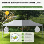 10x20FT Outdoor Pop-Up Canopy Tent UPF 50+ Instant Canopy Sun Shelter with Wheeled Carrying Bag
