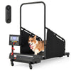 Dog Treadmill Pet Dog Running Machine 200LBS Indoor Pet Exercise Equipment with LCD Display & Remote Control