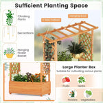 Raised Garden Bed Fir Wood Vertical Planter Box with Trellis & Hanging Roof for Flowers Herbs Climbing Vines
