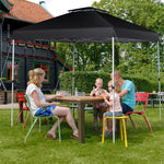 10' x 10' Outdoor Pop Up Canopy Tent 2-Tier Folding Instant Shelter Canopy with Center Lock & Wheeled Carry Bag