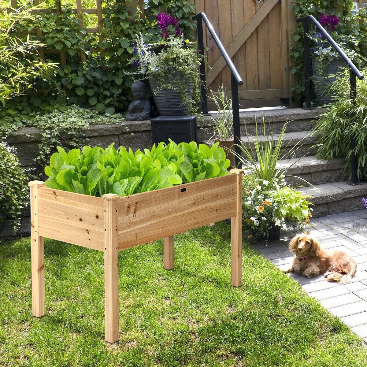 48" Raised Garden Bed, Wood Elevated Planter Box with Greenhouse Cover for Vegetables Flowers & Herbs, Outdoor Planting Bed for Backyard Patio - Bestoutdor