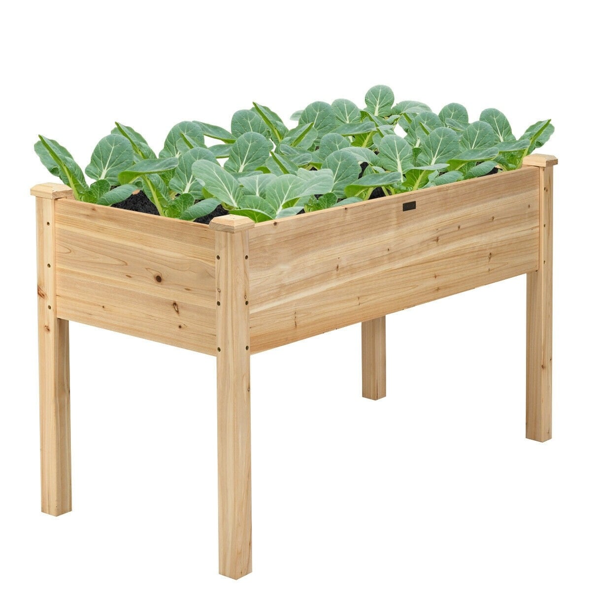 48" Raised Garden Bed, Wood Elevated Planter Box with Greenhouse Cover for Vegetables Flowers & Herbs, Outdoor Planting Bed for Backyard Patio - Bestoutdor