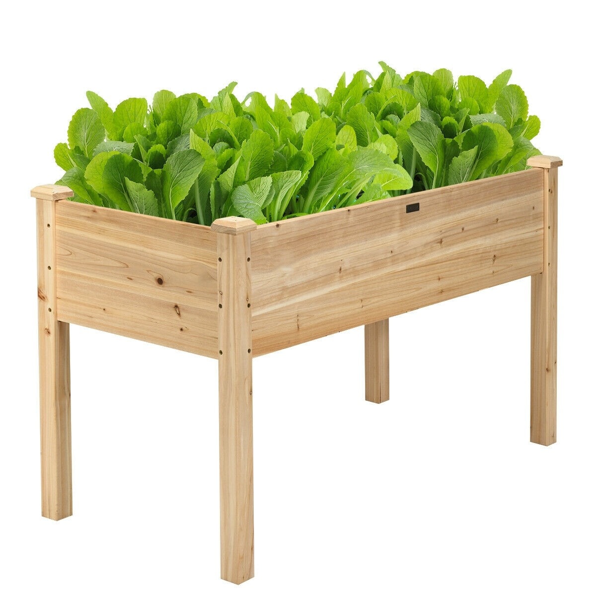 48" Raised Garden Bed, Wood Elevated Planter Box with Greenhouse Cover for Vegetables Flowers & Herbs, Outdoor Planting Bed for Backyard Patio - Bestoutdor