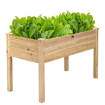 48" Raised Garden Bed, Wood Elevated Planter Box with Greenhouse Cover for Vegetables Flowers & Herbs, Outdoor Planting Bed for Backyard Patio - Bestoutdor